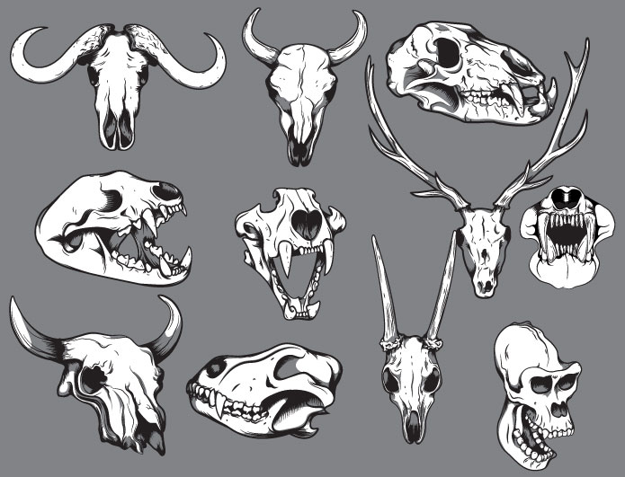 Download Skulls Vector Pack 12| Animal Skull Clipart| Royalty Free Animal Skull | Dog Vector Skull