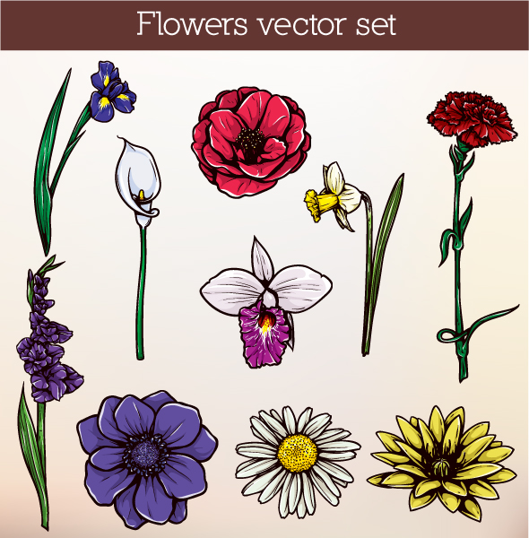 Floral Vector Illustration - Designious