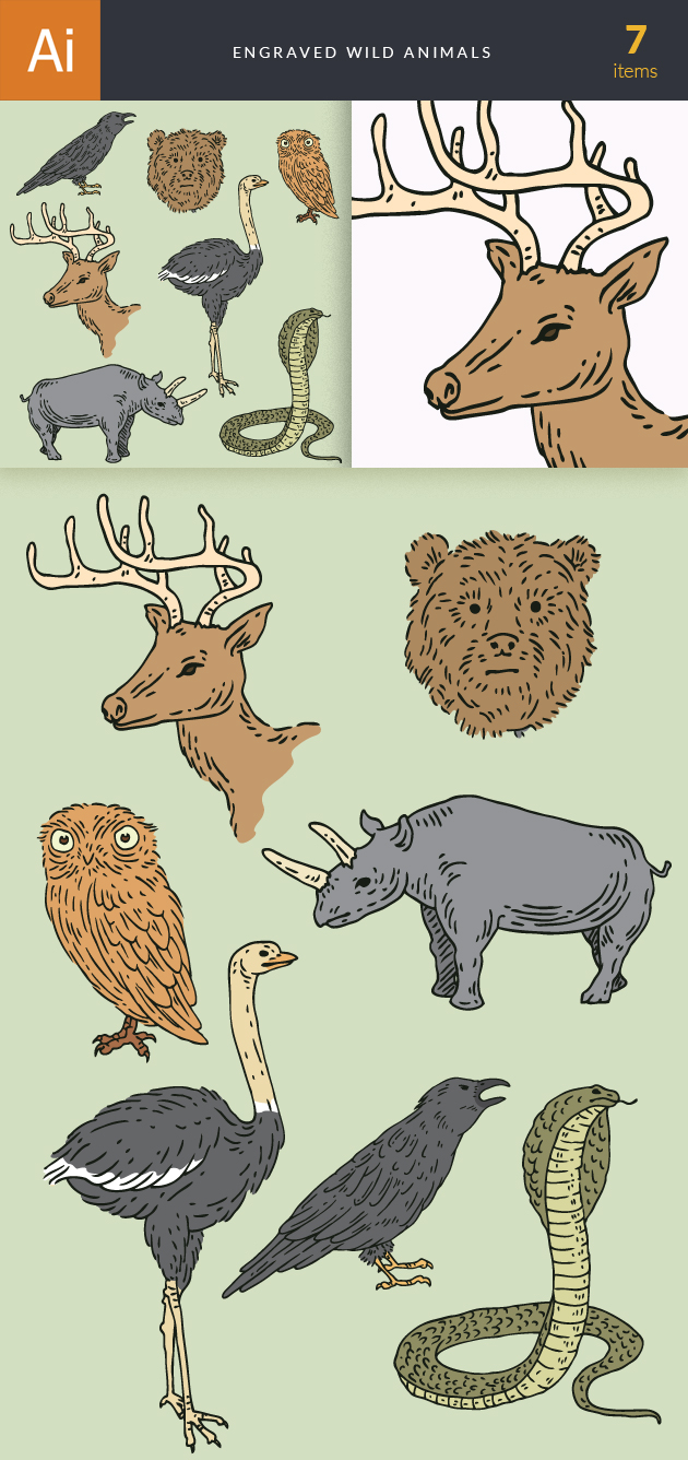 Engraved Wild Animals Vector Set 1 21