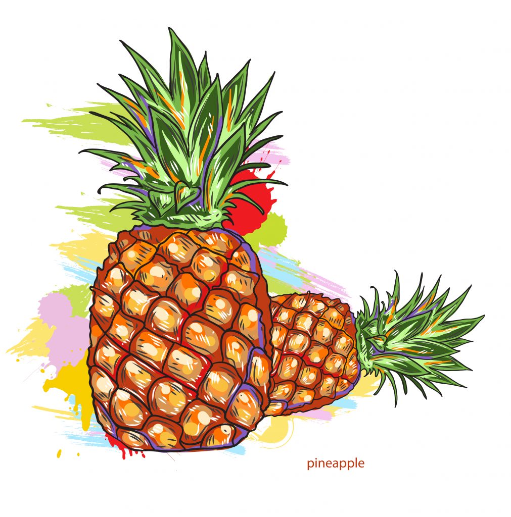 Colorful Vector Art Vector Pineapple Colorful Splashes Designious   2015 03 03 079 1011x1024 