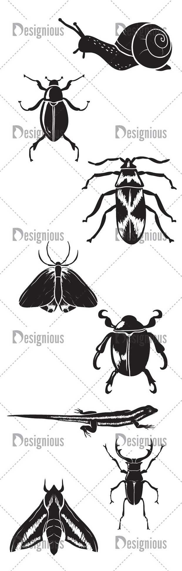 Vector Bugs Snails Pack 1 49