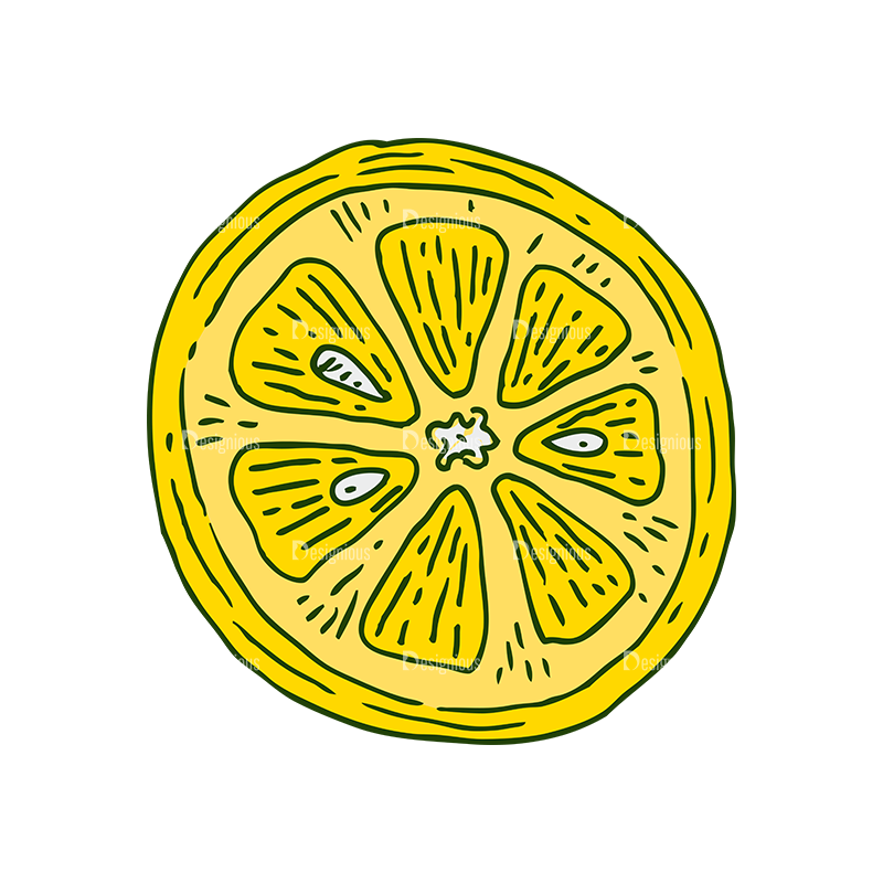 Engraved Lemons Vector Set 1 Vector Lemon 04 - Designious