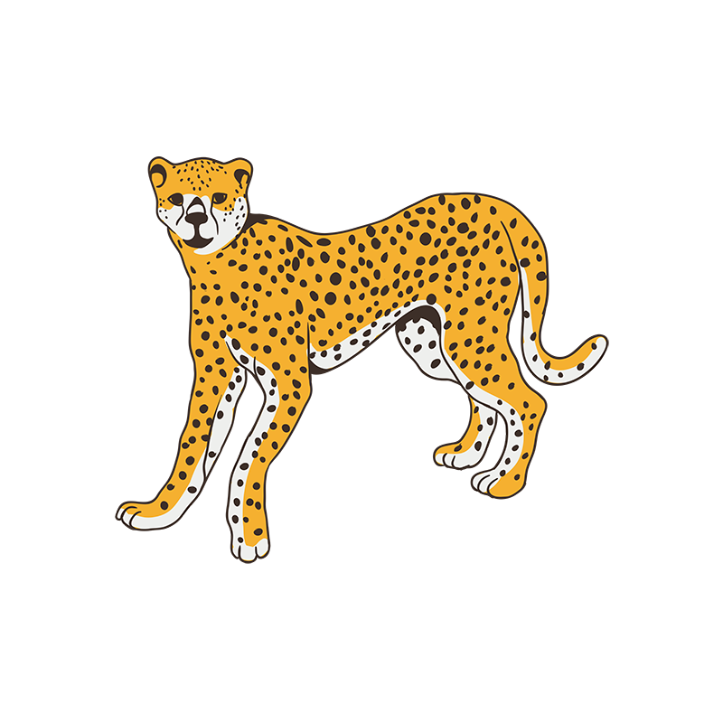 Featured image of post Cheetah Vector Png Browse our cheetah folder images graphics and designs from 79 322 free 268 cheetah folder free vectors on ai svg eps or cdr