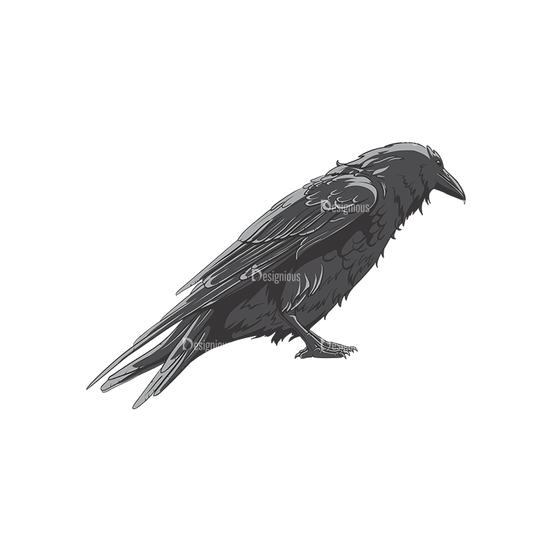 Download Ravens Vector 1 5 - Designious
