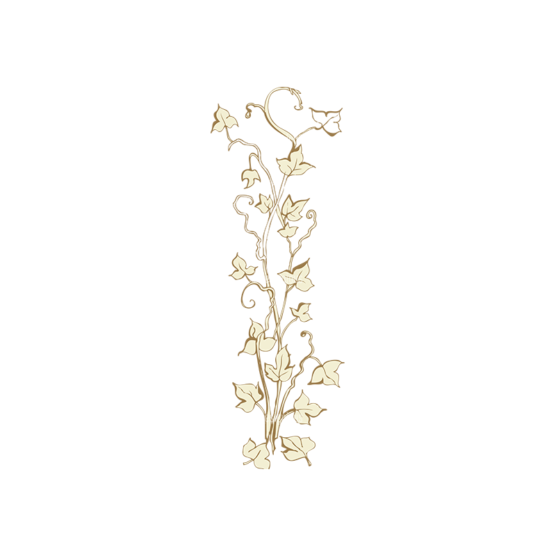 Vector Floral Ornaments 3 Vector Leaves - Designious